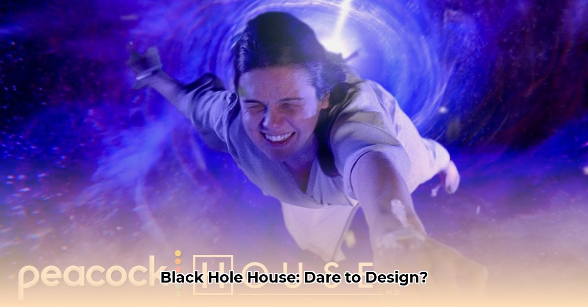 black-hole-house